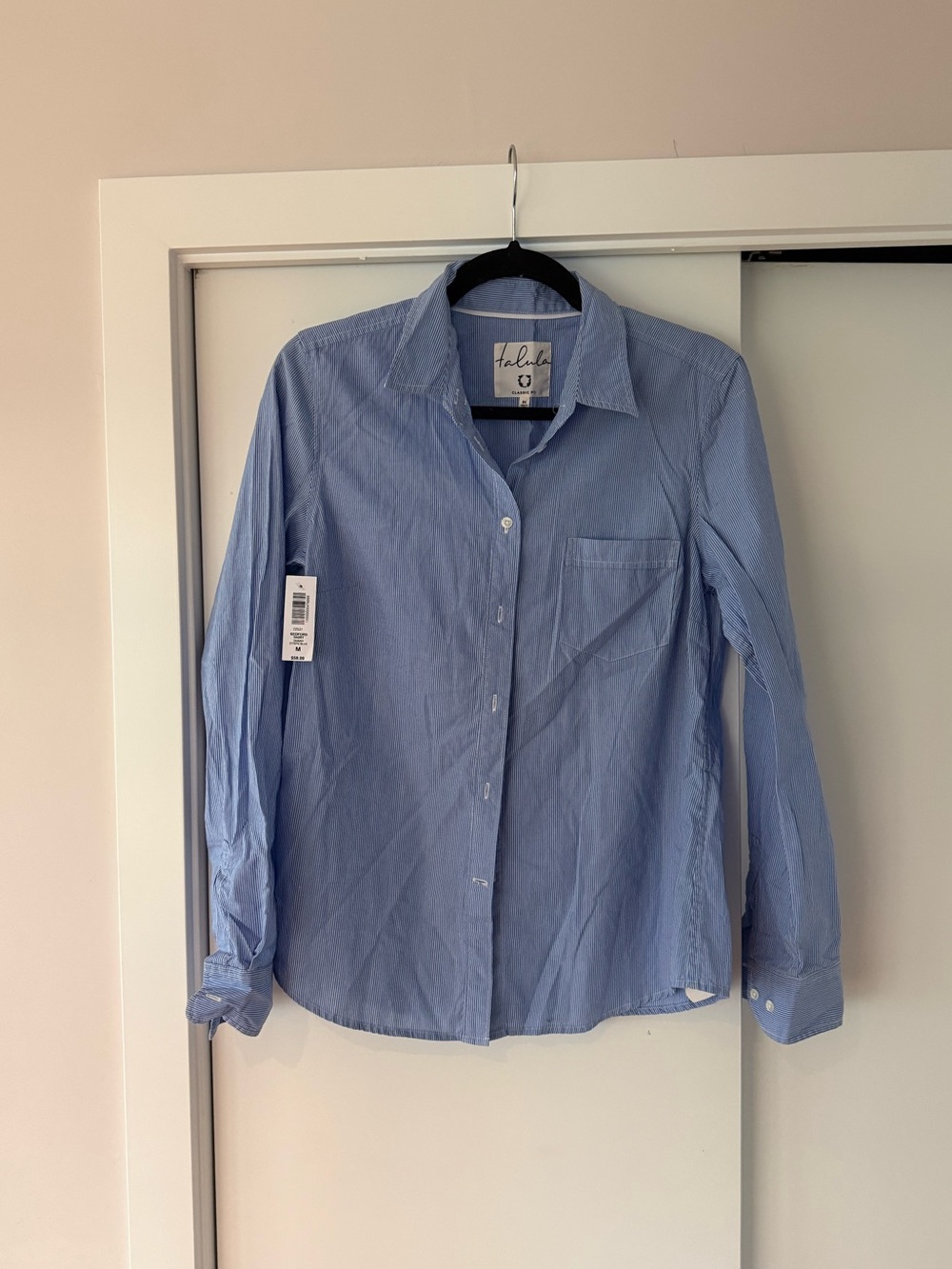 Aritzia Bedford Shirt